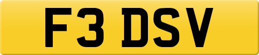 F3DSV