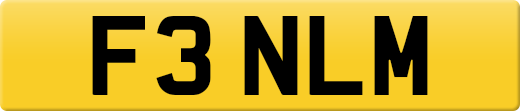 F3NLM