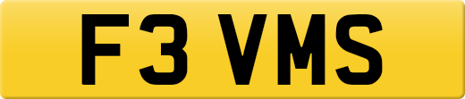 F3VMS