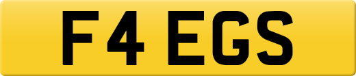 F4EGS