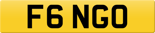 F6NGO