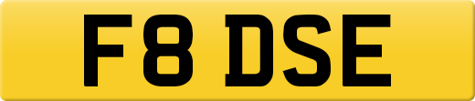 F8DSE