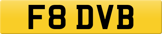 F8DVB