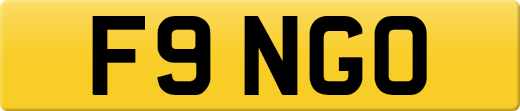 F9NGO