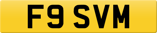 F9SVM