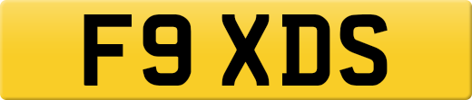 F9XDS