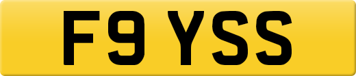 F9YSS