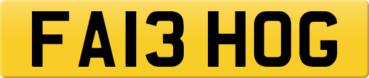 FA13HOG