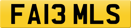 FA13MLS