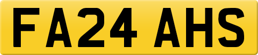 FA24AHS