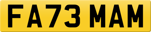 FA73MAM
