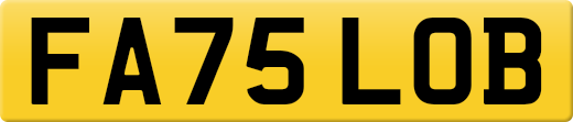 FA75LOB