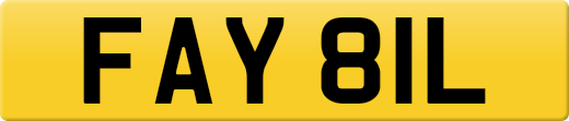 FAY81L
