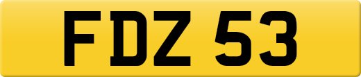 FDZ53