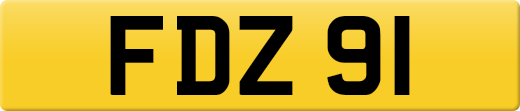 FDZ91
