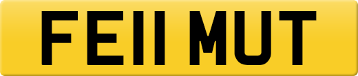 FE11MUT