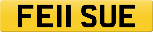 FE11SUE
