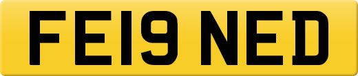 FE19NED