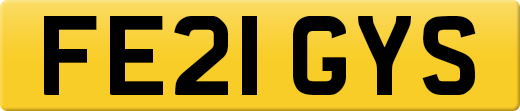 FE21GYS