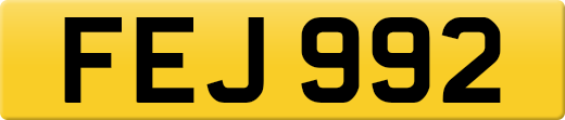 FEJ992