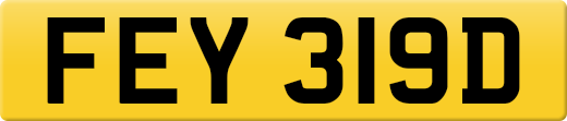 FEY319D