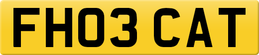 FH03CAT