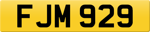 FJM929