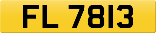 FL7813