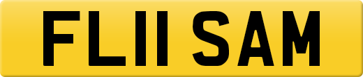 FL11SAM
