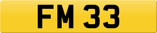 FM33