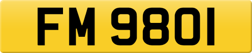 FM9801