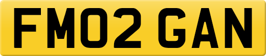 FM02GAN