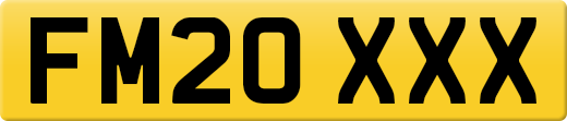 FM20XXX