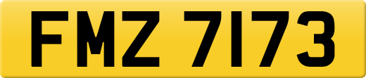 FMZ7173