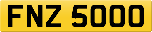 FNZ5000