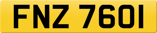FNZ7601