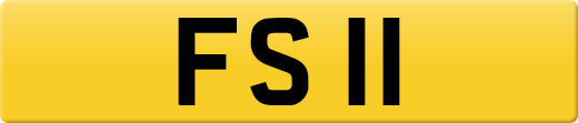 FS11