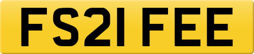 FS21FEE