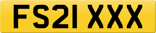 FS21XXX