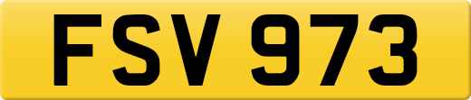 FSV973