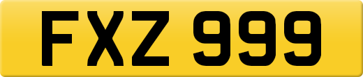 FXZ999