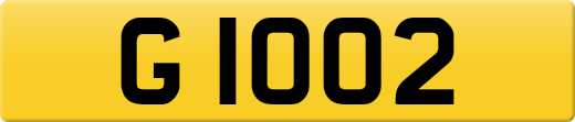 G1002