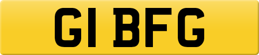 G1BFG