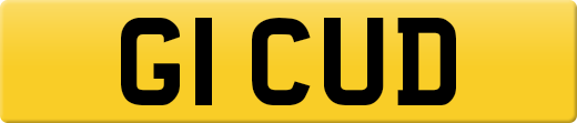G1CUD