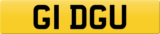 G1DGU