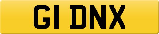 G1DNX