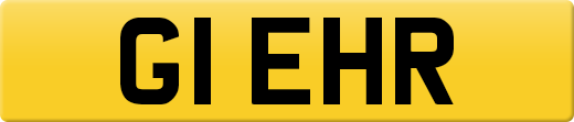 G1EHR