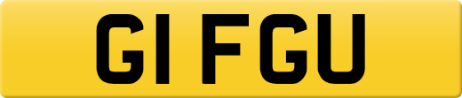 G1FGU