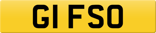 G1FSO