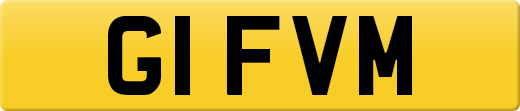 G1FVM